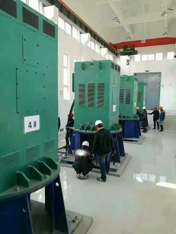 YR6302-4某污水处理厂使用我厂的立式高压电机安装现场