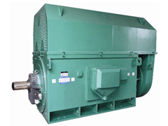 YR6302-4YKK系列高压电机